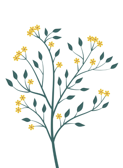 branch