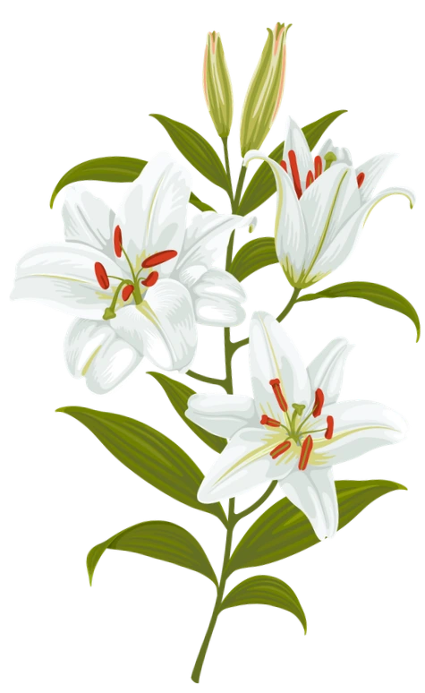 flower-1