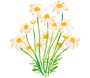 flower-3