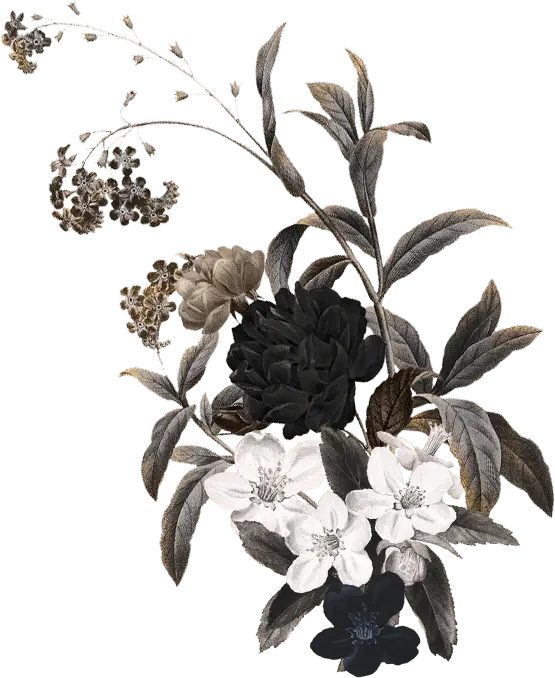 Ornamen